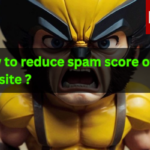 How to reduce the spam score of website ?