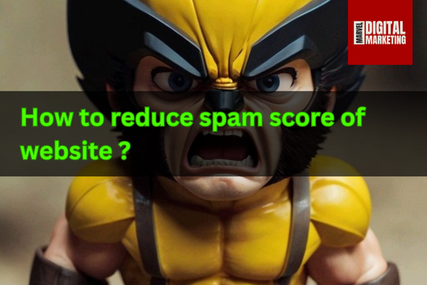 How to reduce the spam score of website ?